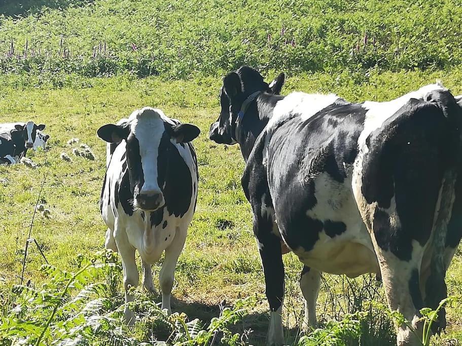 Gite Kerbourc'H Charmant Et Confortable, Mer Et Plages A 3Km, Ploudalmézeau Zewnętrze zdjęcie