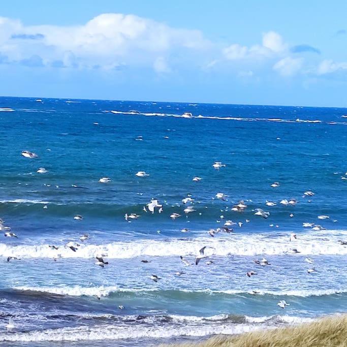 Gite Kerbourc'H Charmant Et Confortable, Mer Et Plages A 3Km, Ploudalmézeau Zewnętrze zdjęcie